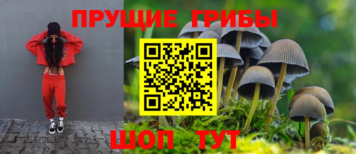 Псилоцибиновые грибы мухоморы Клин